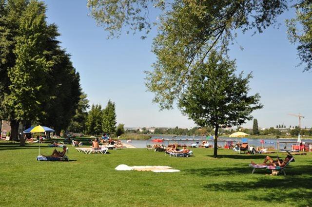 Schoenes Living Am Donauufer Wien Eksteriør billede