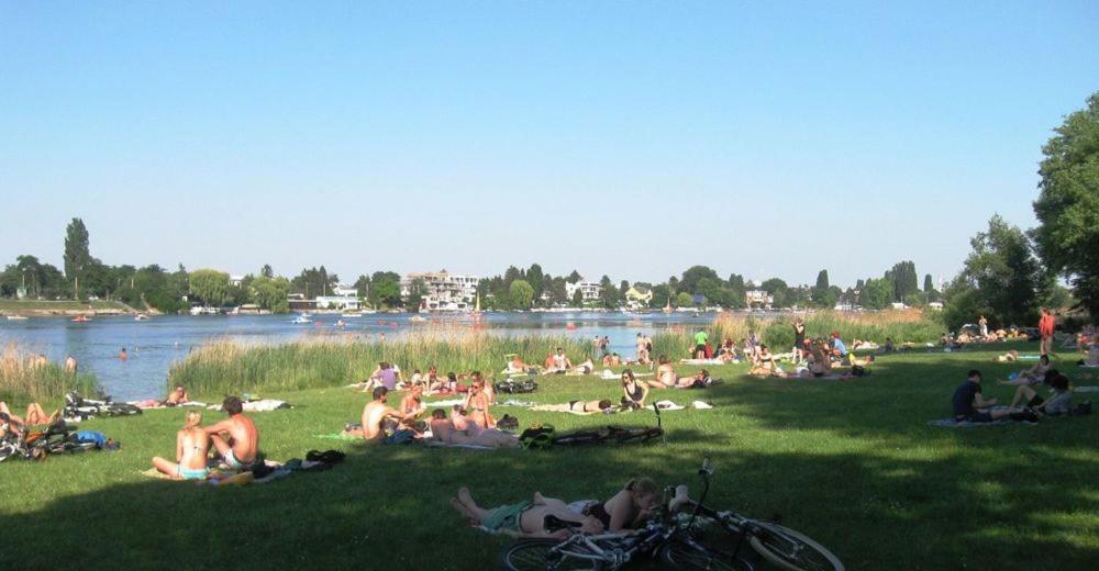 Schoenes Living Am Donauufer Wien Eksteriør billede